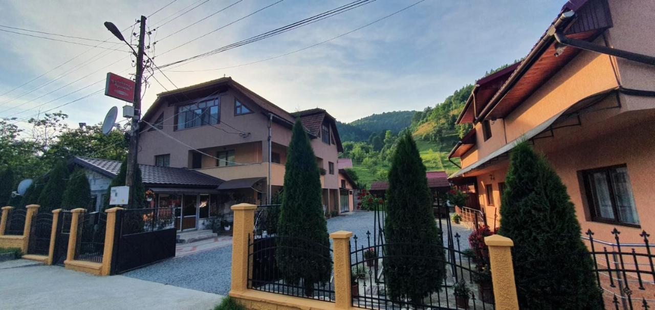 Pensiunea Apuseni Vidra  Bagian luar foto