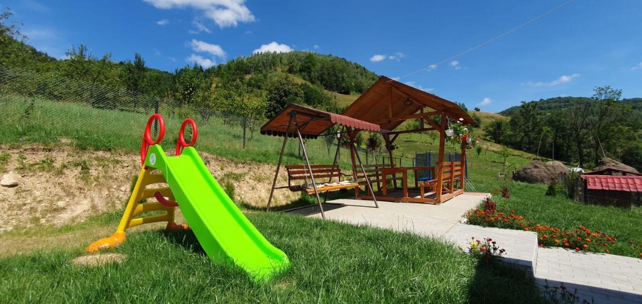 Pensiunea Apuseni Vidra  Bagian luar foto