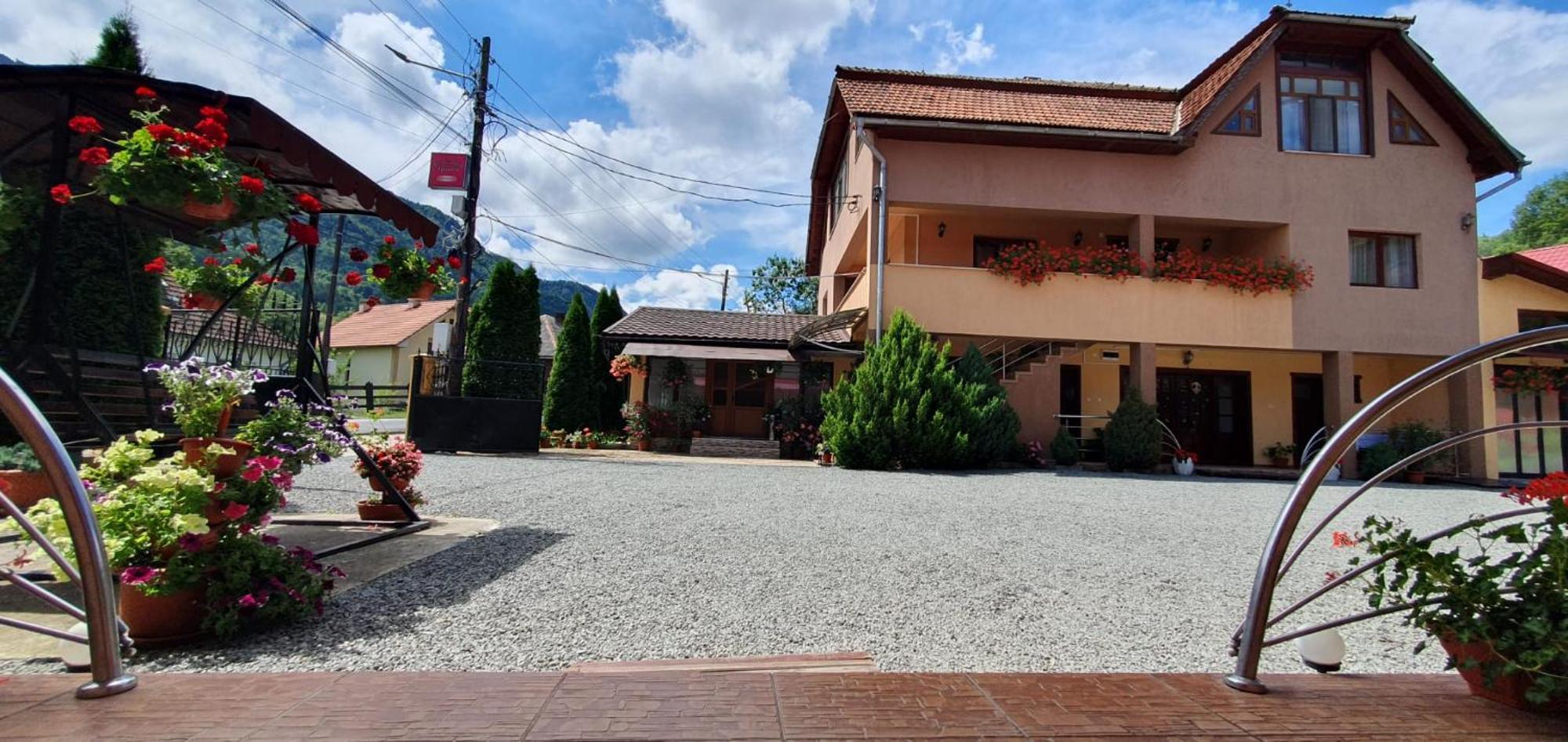 Pensiunea Apuseni Vidra  Bagian luar foto