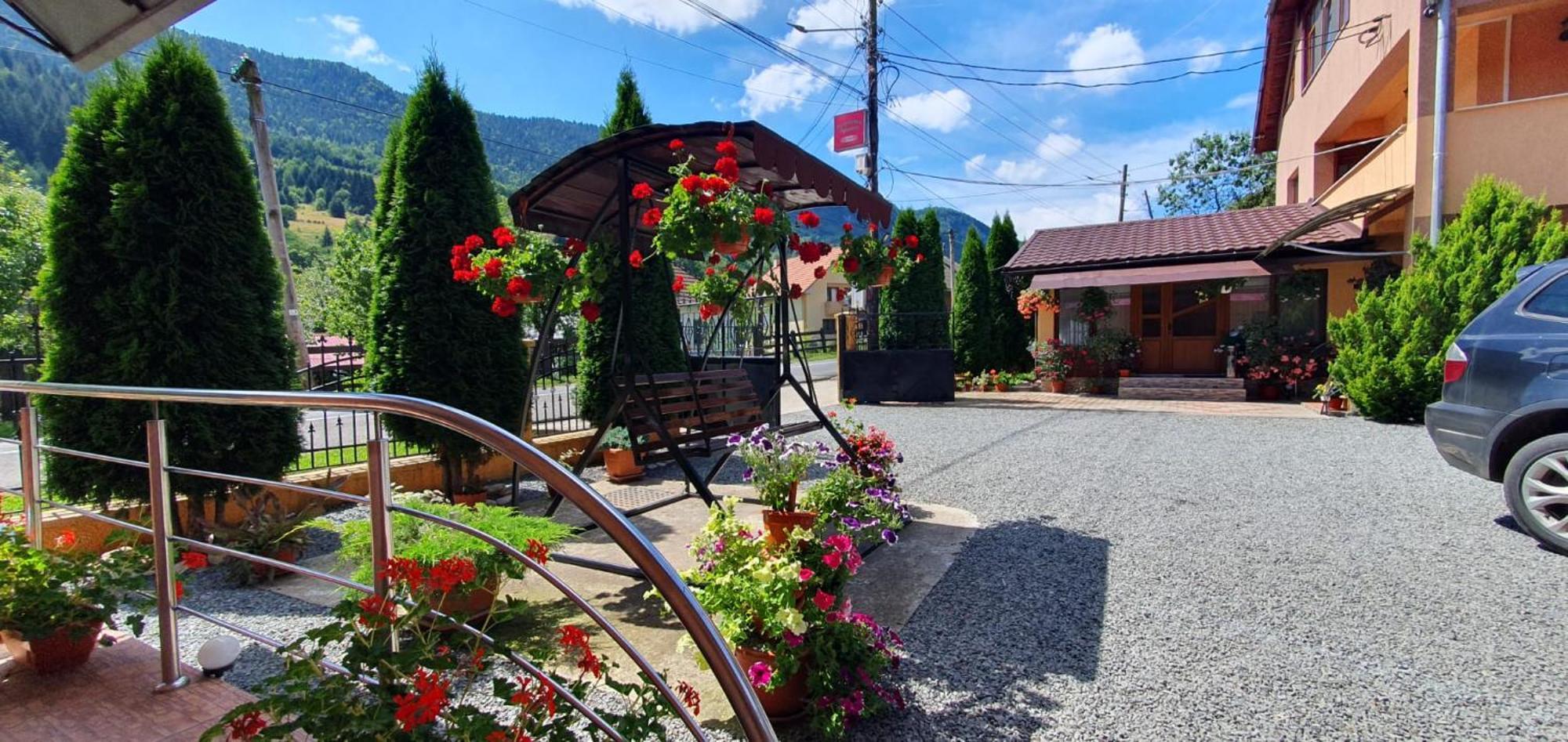 Pensiunea Apuseni Vidra  Bagian luar foto