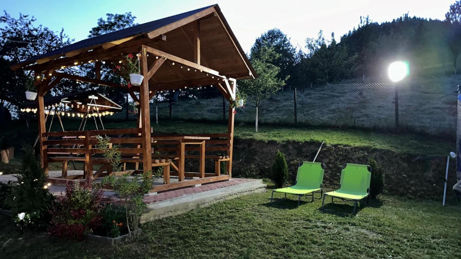 Pensiunea Apuseni Vidra  Bagian luar foto