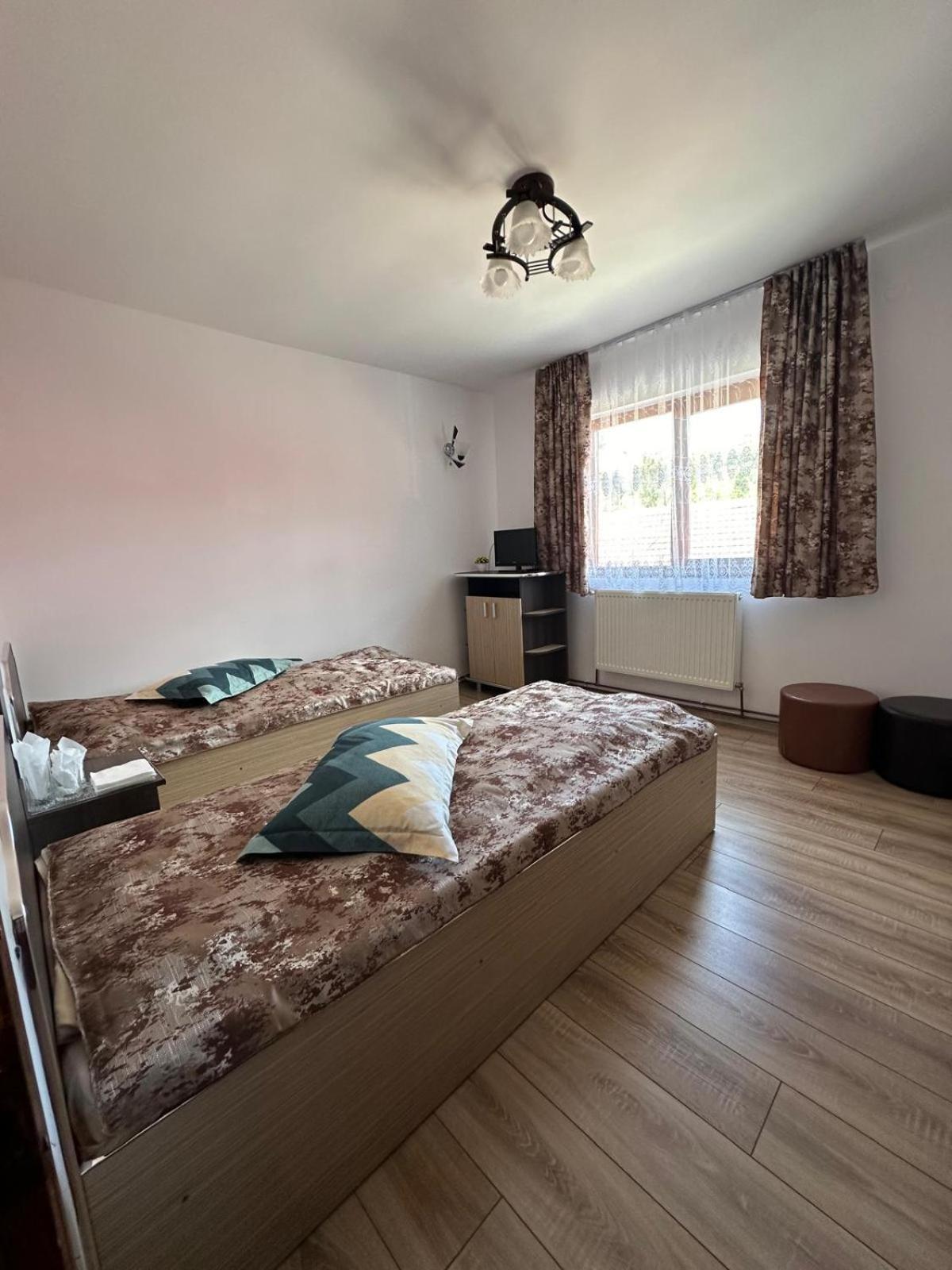 Pensiunea Apuseni Vidra  Bagian luar foto
