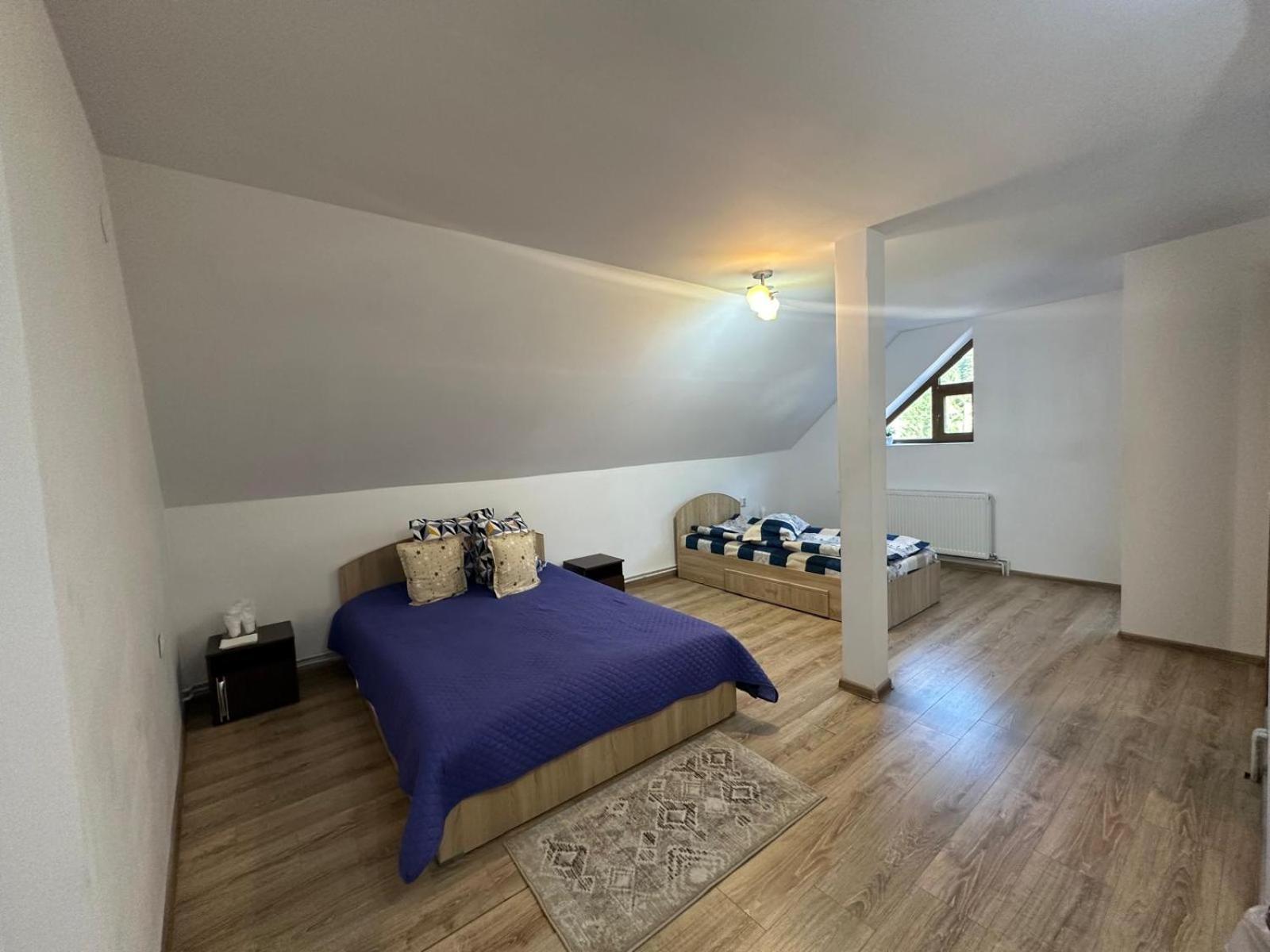 Pensiunea Apuseni Vidra  Bagian luar foto